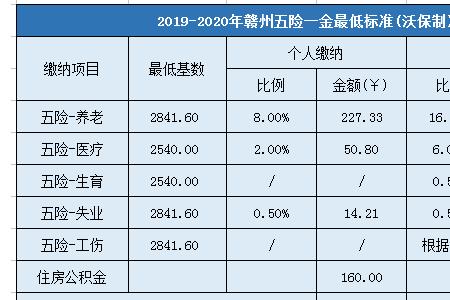 五险一金可以只买一金吗