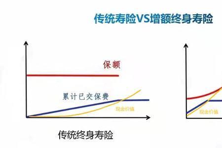 增值终身寿保额是什么意思