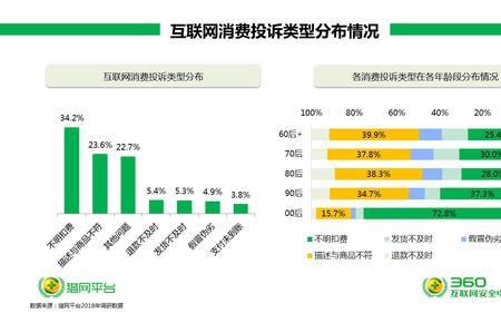 国内上网使用费是什么