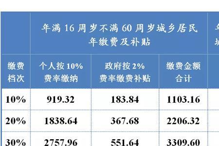 南宁市个人如何缴纳养老保