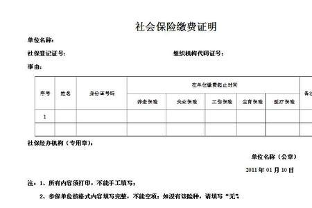 劳动局交的养老保险