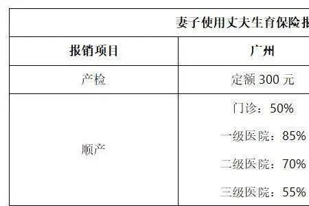 深圳生育险不交可以吗