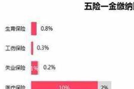 五险交到哪里