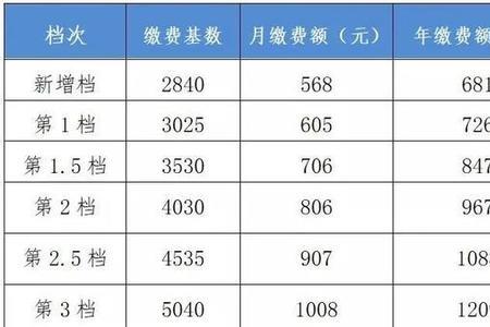 社保缴费基数10000什么意思