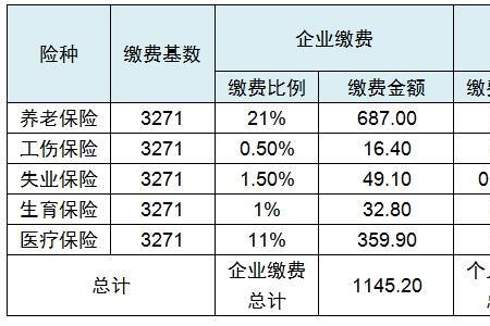 什么叫个人缴费基数