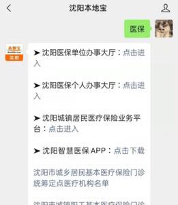 沈阳医保怎么在手机上代缴