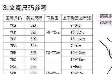 80b胸围等于多少厘米