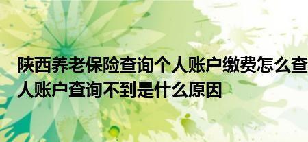 养老交了但是查不到账户信息