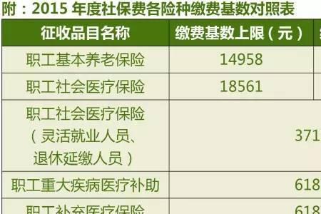 贵州社保2022年缴费标准