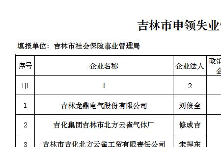 吉林市个人缴纳社保有报销吗