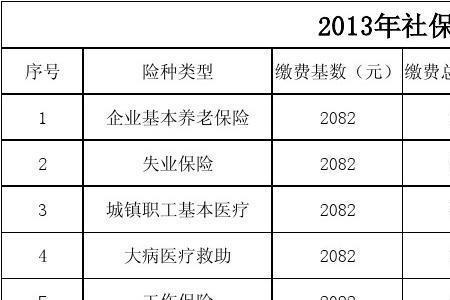 社保小红本有95年以前的缴费记录