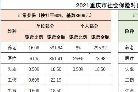 2006到2009重庆社保缴费基数