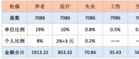 公司可以一年补交社保吗