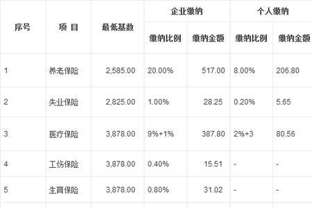 五险一金个人能交吗