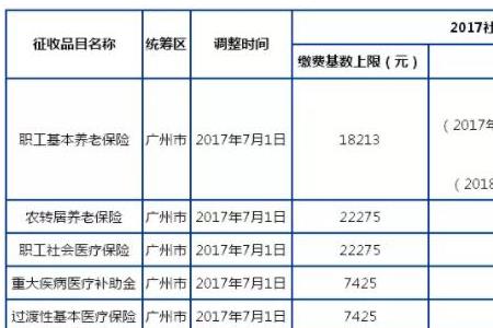 广东湛江个人如何购买社保