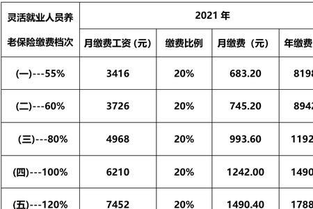 沈阳灵活就业社保2022年交多少钱