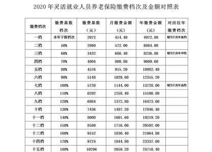 为何养老保险缴费记录只能查4年