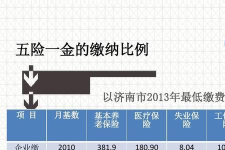 企业职工养老保险是几险一金