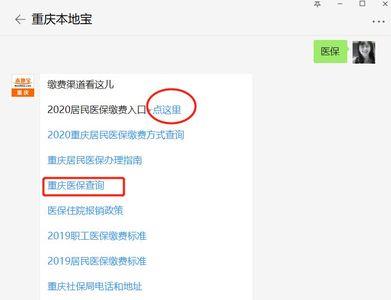 重庆怎么在手机上交医保