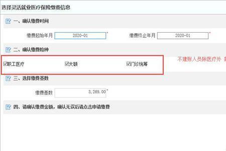 单位如何查询大额医保缴费情况