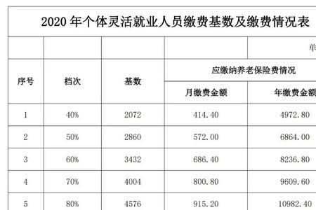 什么是社保缴费月标准