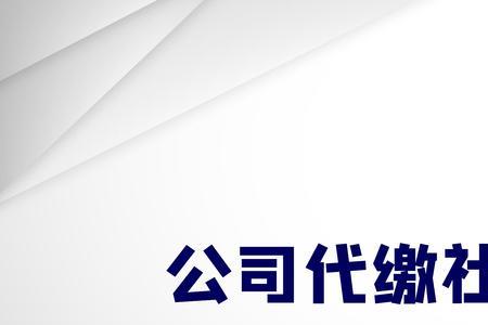 其他应收款个人社保什么意思