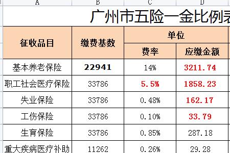 2005年社广州社保个人缴费标准