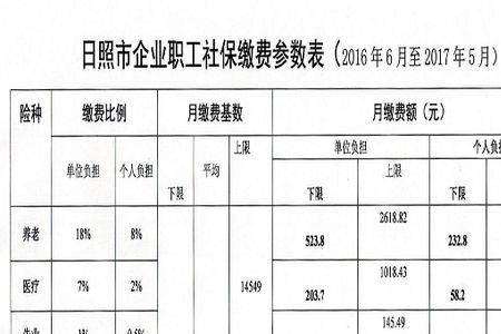 社保本期累计缴费基数是什么