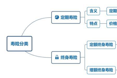 保险法对终身寿险的规定