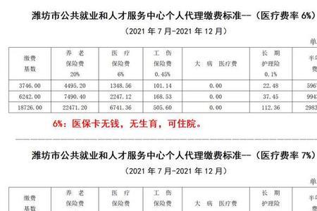 潍坊社保查询为什么只显示三险