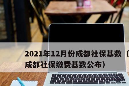 成都社保补交了多久能查