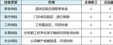 杭州灵活就业可以交生育险吗