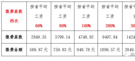 河北灵活就业补缴标准