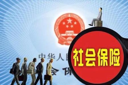 社保费是医保费吗