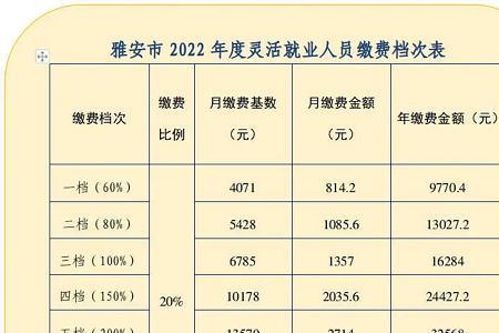 2005年江苏灵活就业缴费基数