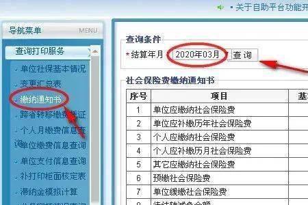 个人社保缴费明细怎么查询