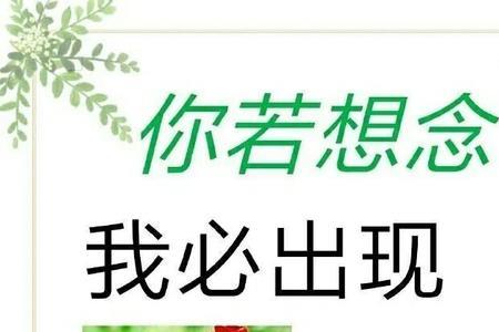 珍惜相遇什么意思