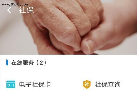 省本级养老保险个人账户查询