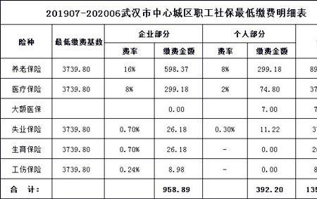 个人缴费是社保好还是五险一金