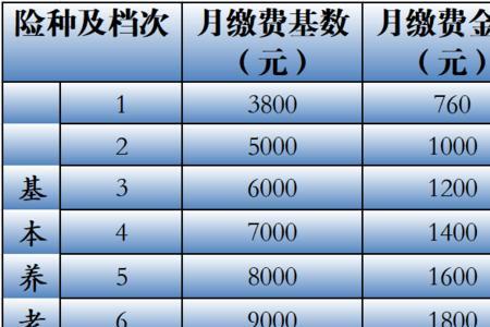 养老保险年中基数调整怎么缴纳