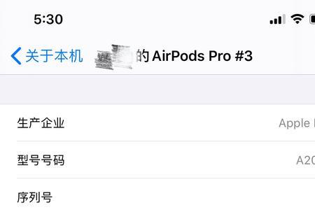 airpodspro序列号h和g