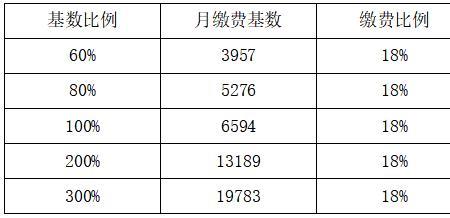 一年480的社保要开通吗