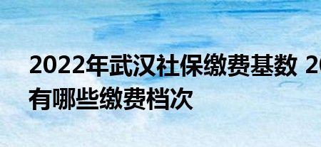 武汉灵活社保2023个人缴费标准