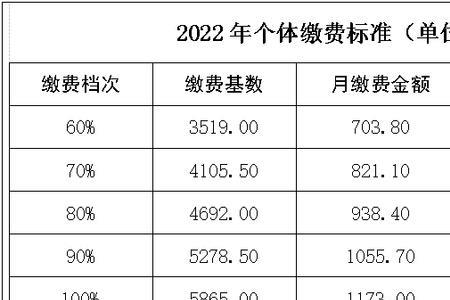 湖北农村社保缴费标准