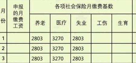 个人交养老保险要什么材料