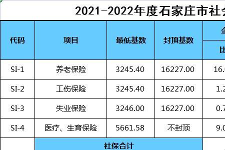 自己做生意个人怎么交社保