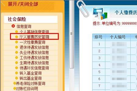 在外地交的社保怎么查