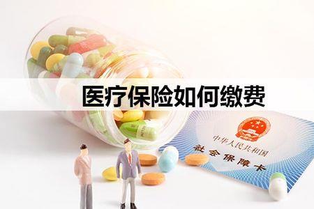 自己交保险怎么办手续