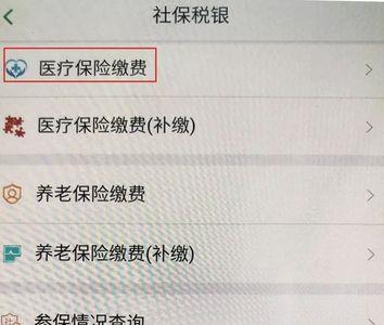 查看医保缴费情况