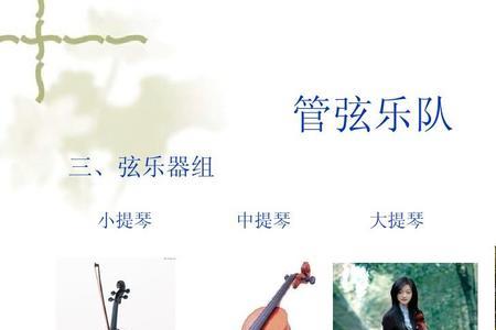 低音提琴与弹簧乐器的历史